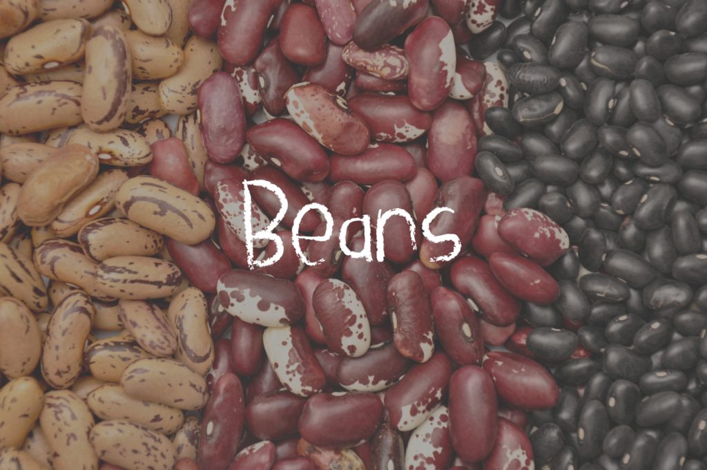 assorted beans lined together