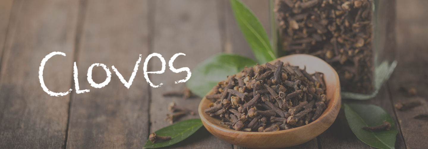 What are Cloves and How Do You Eat Them? | Kids Are Great Cooks