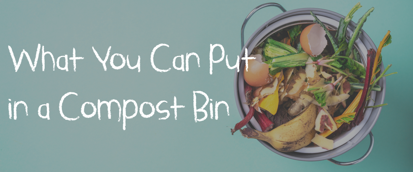 What Can You Put in a Compost Bin? Kids Are Great Cooks