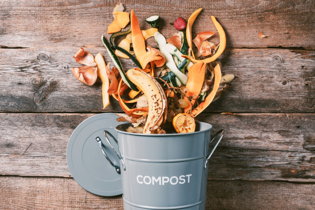 Vegetable and fruit scraps in a compost bin