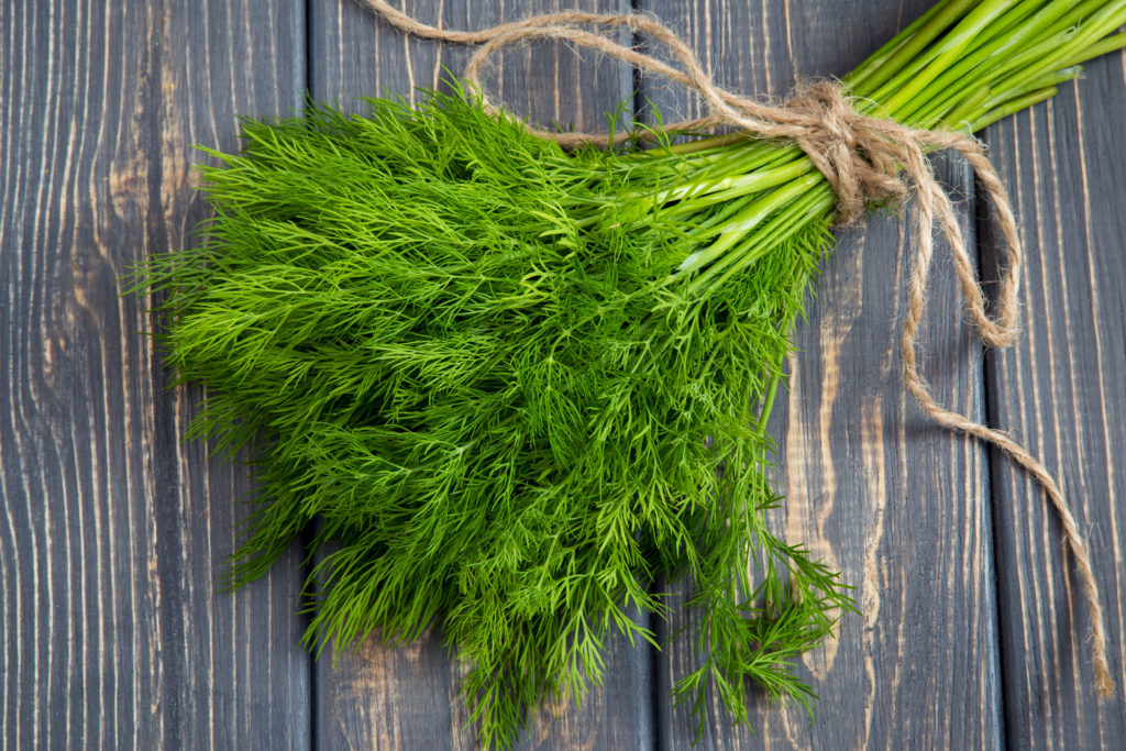 Learn About Dill