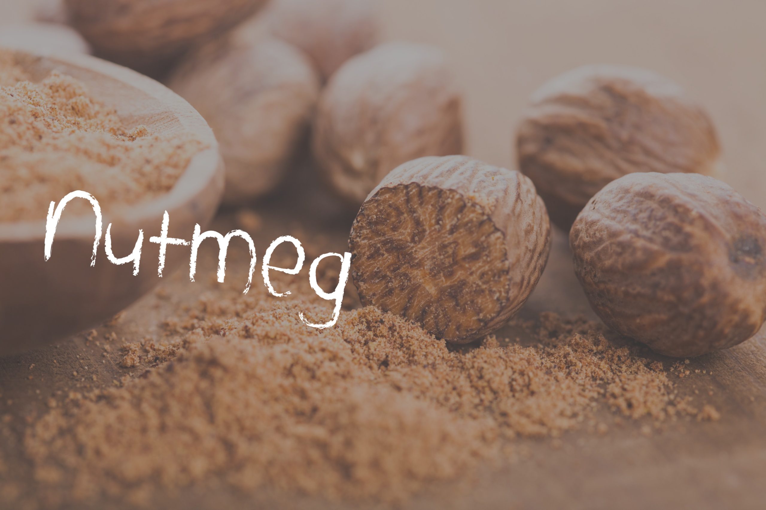 Nutmeg What it is and Ways to Use it Kids Are Great Cooks