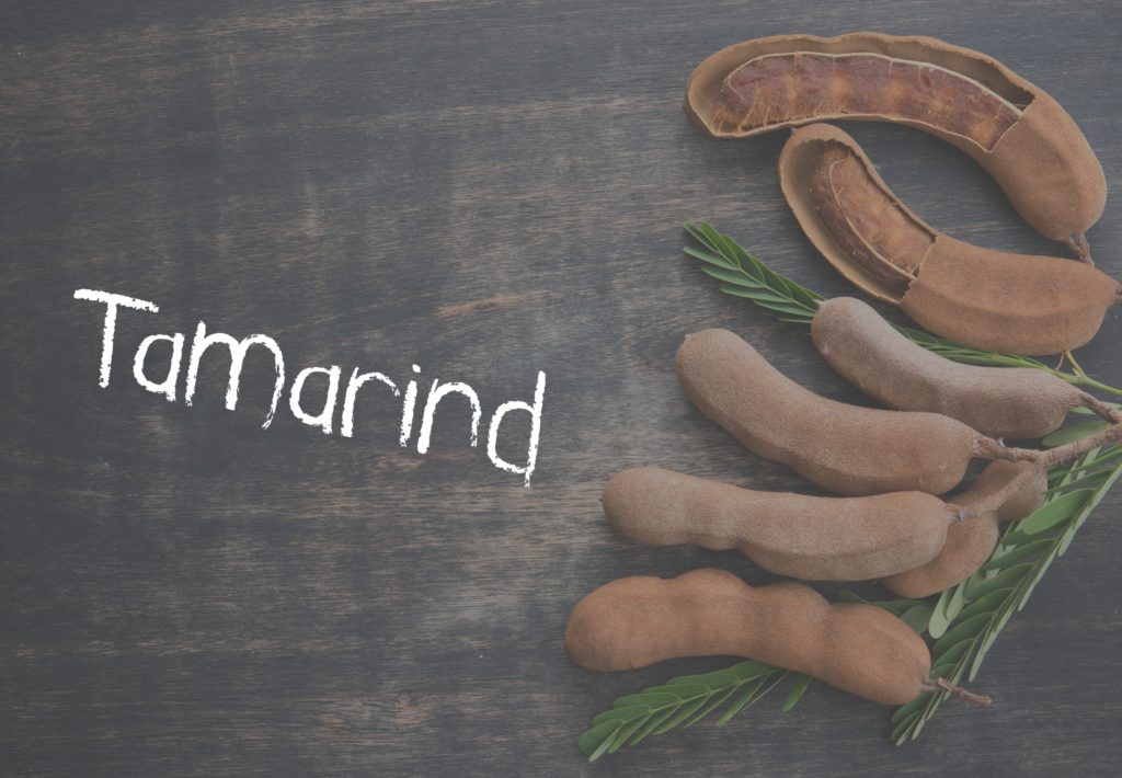 Tamarind What is it and Why Should You Try it? Kids Are Great Cooks