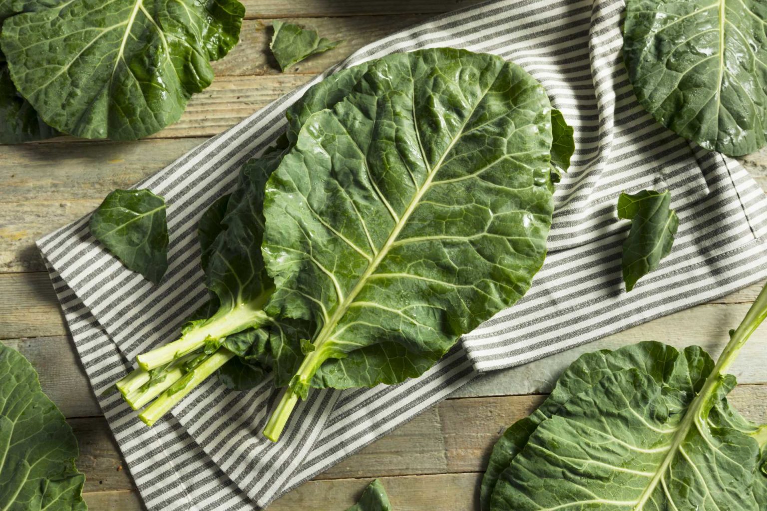 What are Collard Greens and How Do I Use Them? Kids Are Great Cooks