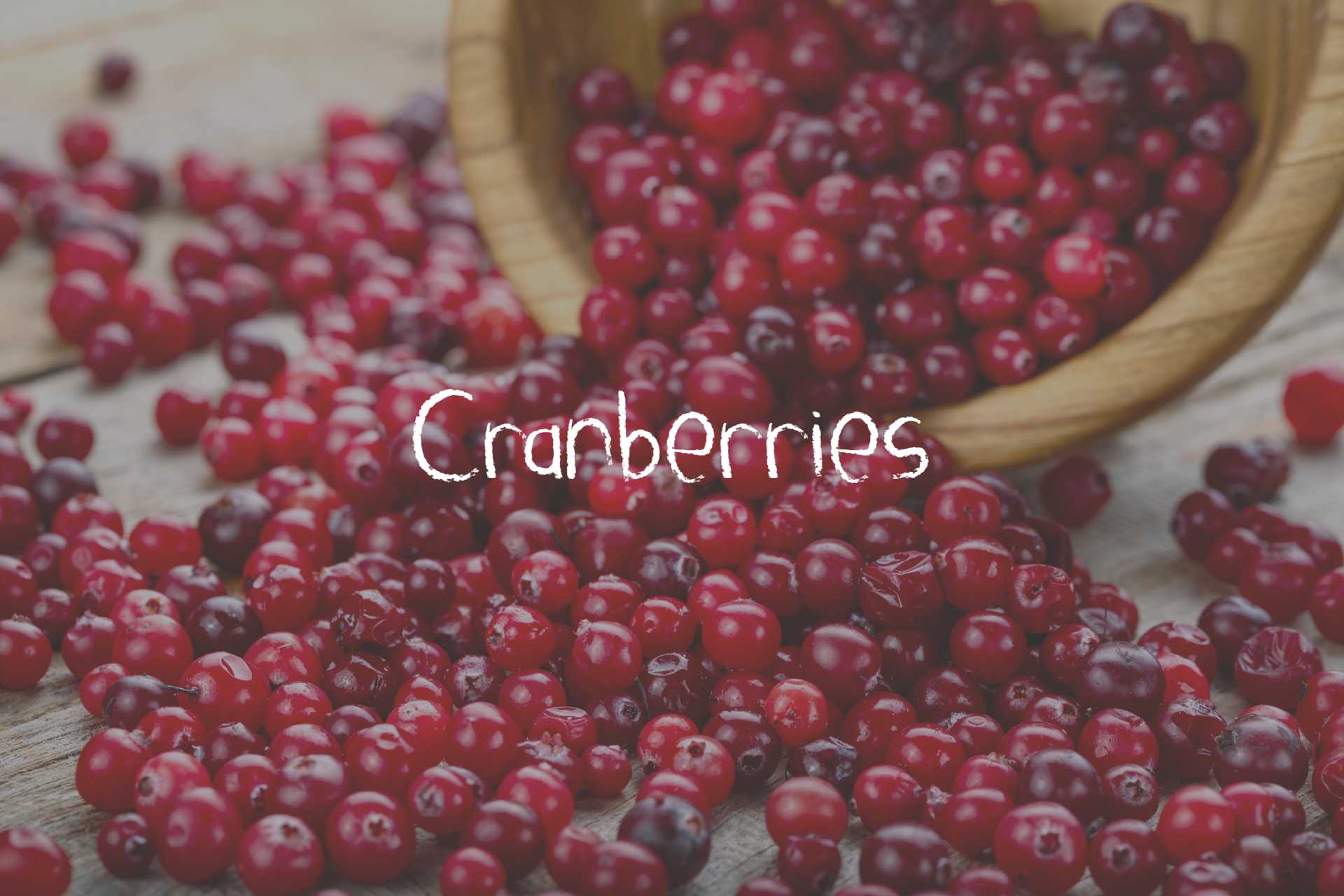 Cranberries What They Are and How to Use Them Kids Are Great Cooks