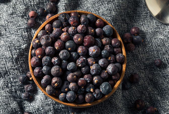 Learn About Juniper Berries
