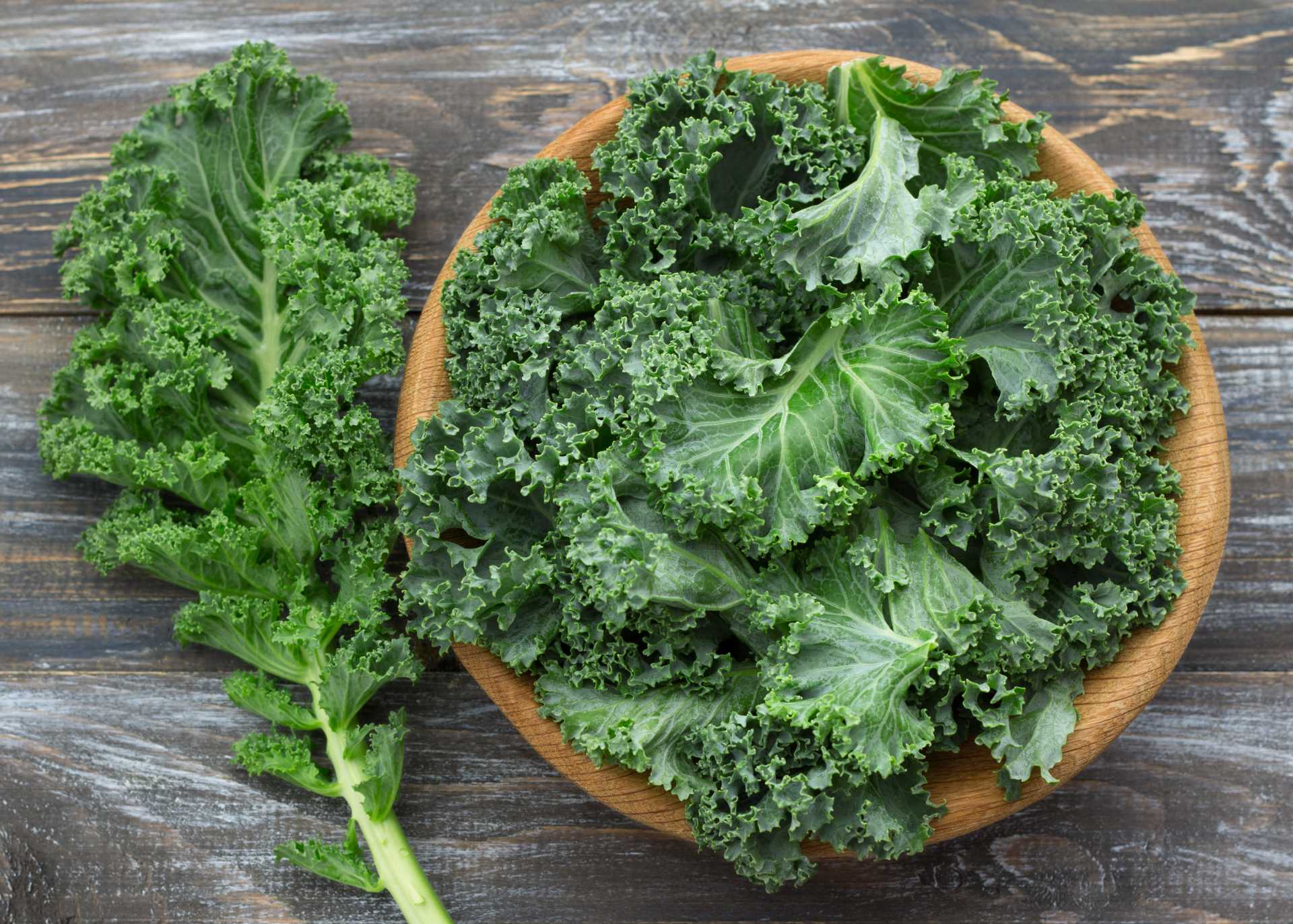 Learn About Kale Kids Are Great Cooks