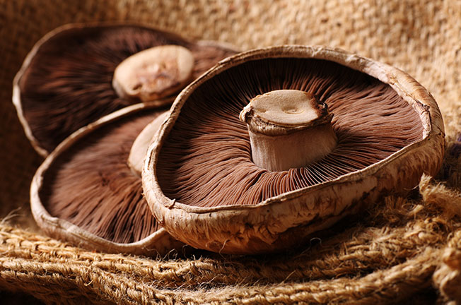 Learn About Portobello Mushrooms