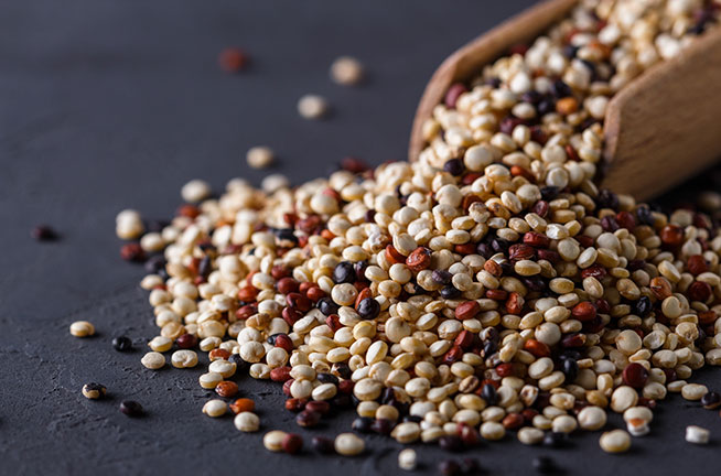 Learn About Quinoa