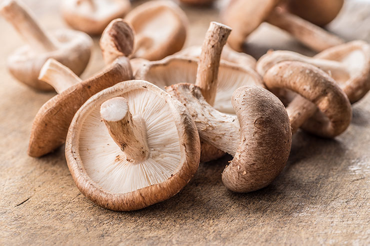 Learn About Shiitake Mushrooms