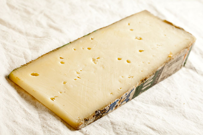 Learn About Fontina Cheese