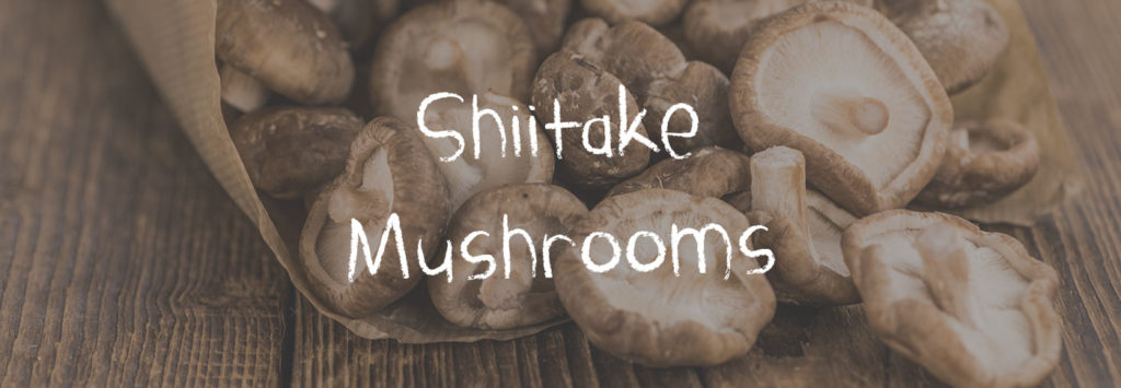 Learn About Shiitake Mushrooms