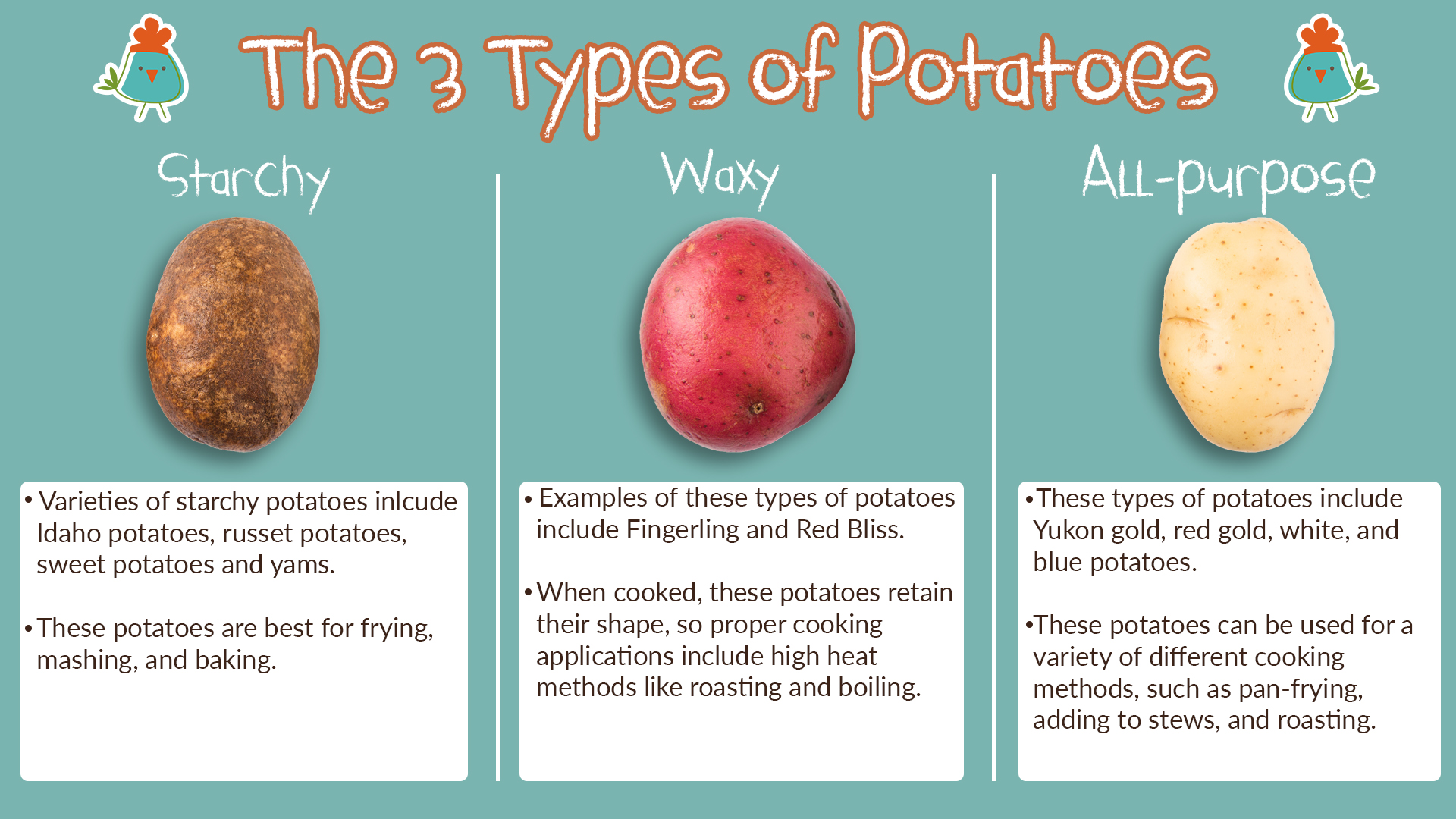 Potato Infographic 