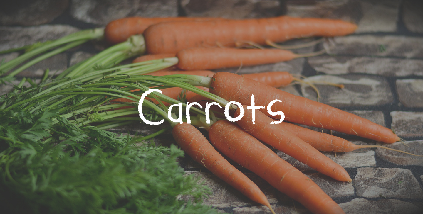 Learn About Carrots | Varieties, Uses | Kids Are Great Cooks