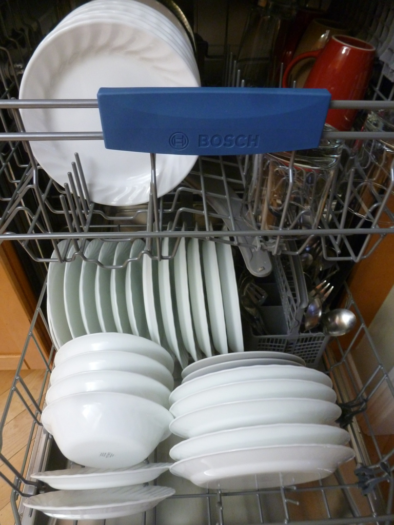 Loaded dish washing machine 
